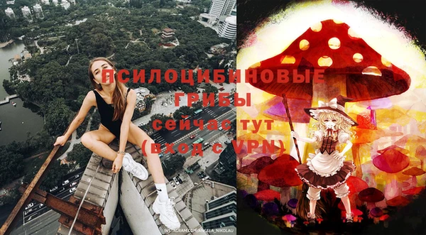 ГАЛЛЮЦИНОГЕННЫЕ ГРИБЫ Алексеевка