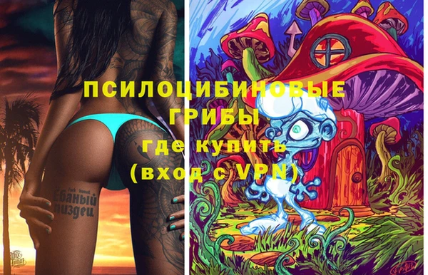 ГАЛЛЮЦИНОГЕННЫЕ ГРИБЫ Алексеевка