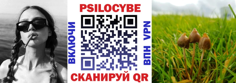 Псилоцибиновые грибы Psilocybine cubensis  Муравленко 