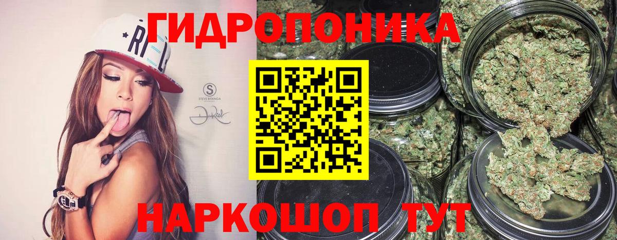 Конопля планчик  Вход с VPN  Муравленко  Каннабис White Widow 
